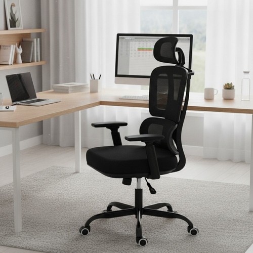 Ergonomic mesh back office - mesh,